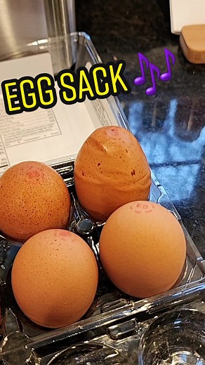 Discovering the Mystery of the Egg Sack