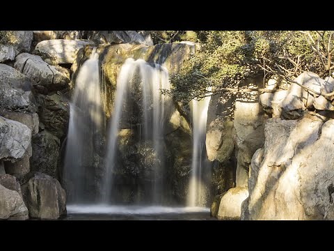 Shutter Speed Tutorial For Beginners | Capture Liquid Movement With These Tips