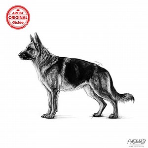 German Shepherd Art Print: Unique Hybrid Pencil & Acrylic Sketch, Professional Dog Wall Decor, Original Artist Work - Etsy Canada