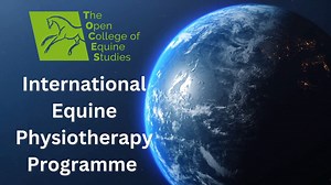 🌍 You can find out more about our International Equine Physiotherapy Diploma Programme in the link below: 🌏 https://www.equinestudies.co.uk/courses/diplomas-and-certificates/advanced/equine-physiotherapy-diploma-programme/ 🌎 info@equinestudies.co.uk | The Open College of Equine Studies