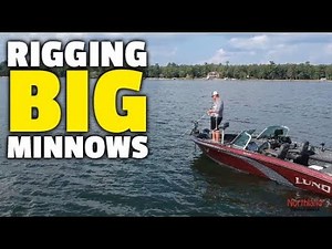 How to Rig Big Minnows - Will Pappenfus
