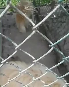 2.5K views · 154 reactions | 凉冀 헧헲헱헱혆’혀 헦혁헼헿혆 • 헙헿헼헺 헮 혀헹헮혂헴헵혁헲헿 헳헮헿헺...