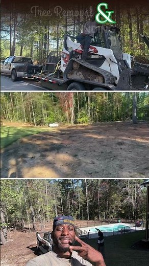 Tree Removal & Stump Grinding