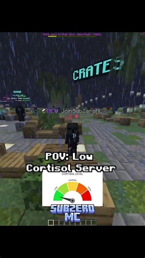 Sub 5 Server vs Chad Server #donutsmp #minecraft