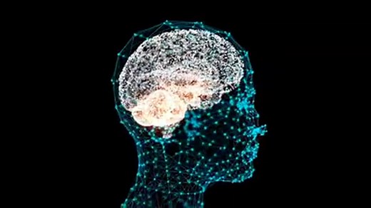 Bruce D Perry - The Neurosequential Model