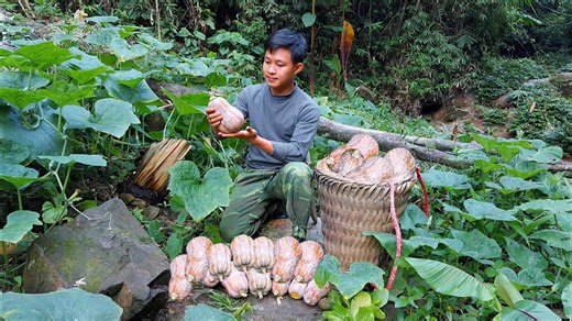 4 Months in the Garden: From Planting Radishes to Pumpkin Feasts | 1 Year Off-Grid