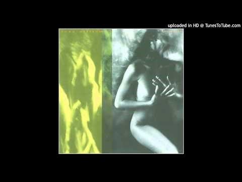 Tony Williams - Native Heart
