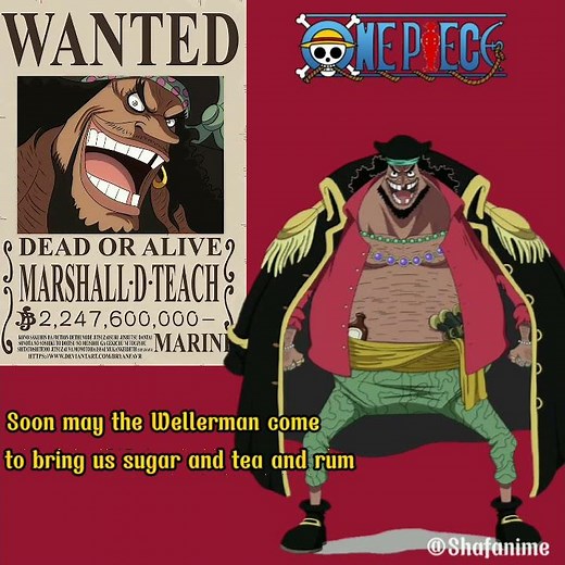 One Piece | Wellerman | Wellerman ver. One Piece | Lyrics