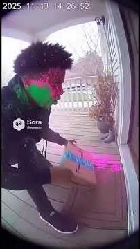 Amazon Box Prank: Powder Explosions, Jacket Ruined, Dog Attacked! #shorts