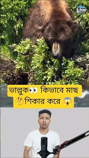 Bear Fishing Techniques