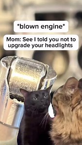 Do I need a tune after a retrofit? 💡 #TheRetrofitSource #Lighting #CustomHeadlights #Retrofitting #Retrofit #RetrofitHeadlights #LED #CarMemes #MechanicMemes | The Retrofit Source