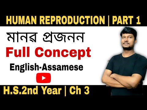 Human Reproduction | মানৱ প্ৰজনন | Part 1 |HS 2nd Year Biology, Chapter 3 | Assamese-English