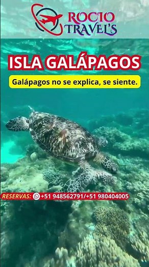 🌴 ISLAS GALÁPAGOS TODO INCLUIDO 🐢✨ El Paraíso Natural Más Exclusivo del Mundo 💎☀️