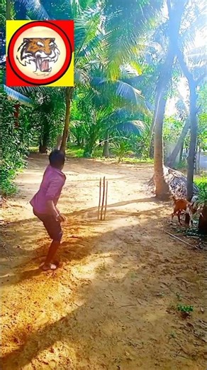 🔥Sean Abbott bowling action ‪@5secondscricket724‬