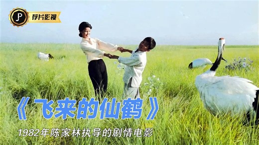 一口气看完《飞来的仙鹤》血缘与亲情、城市与乡村、个人理想与自然归属‌之间的冲突与和解，情感真挚，画面诗意，被誉为80年代最具人文关怀的儿童电影之一。