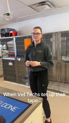 Foxboro Veterinary Hospital on TikTok