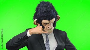 Monkey man on green screen chroma key background