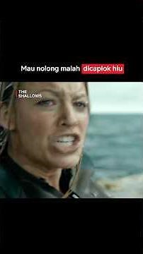 Blake Lively Ngeliat Penolongnya Dikunyah Hiu di Depan Mata | The Shallows