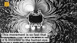 Researchers at ETH Zurich have developed a tiny robot that mimics the movement of a starfish larva. It is driven by sound waves and equipped with tiny hairs that direct the fluid around it, just like its natural model. In the future, such microswimmers could deliver drugs to diseased cells with pinpoint accuracy. Credit: ETH Zürich -------------------------------- Get your company on Wevolver. Wevolver reaches millions of professional engineers every month who leverage the platform to stay up-to