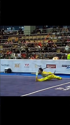 Wushu Champion: The Ultimate Professional Athlete!