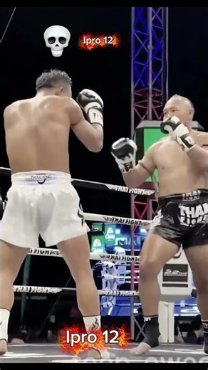 Best techniques kicks muay thai techniques
