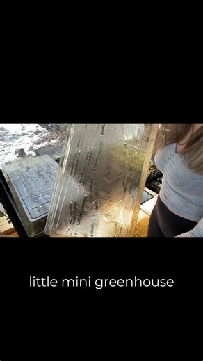 No greenhouse? You still need the greenhouse effect! Humidity domes (or a homemade equivalent) are a must-have if you're starting seeds indoors! 🌱 They trap moisture and warmth around newly planted seeds, preventing the soil from drying out before roots can form. This steady environment improves germination rates, keeps delicate seedlings from drying out, and gives young plants a much better start before they’re ready for open air. Once seeds sprout, remove the dome gradually to avoid weak, leg