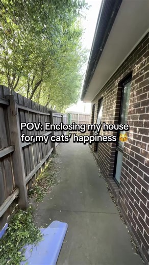 Enclosing an Unusual House for Happy Cats