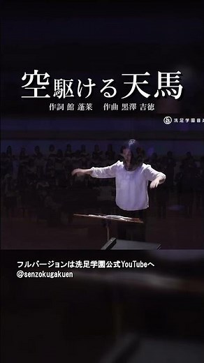 空駆ける天馬