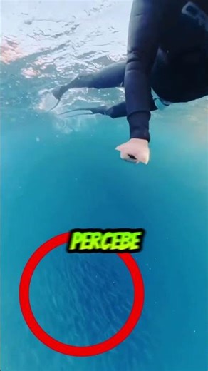 Ela quase foi engolida viva 😱😨 #shorts #curiosidades