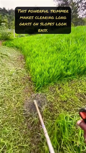 Using A Professional Gas Powered Trimmer On Tall Grass