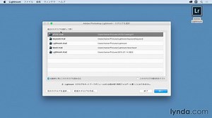 「カタログの最適化 - Lightroom」の動画チュートリアル | LinkedInラーニング