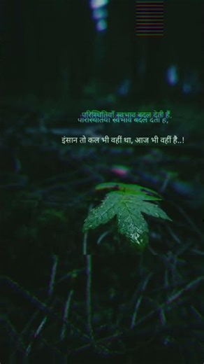 paristhitiyan swabhav Badal deti Hai😇 🥀​ #sadstatus​ #shorts​ #short​#sadlove#sadshayari #love#sad