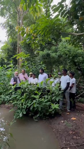 6K views · 164 reactions | Which leaf to use in leaf proofing? #sustainability #organic #nature #tradition #wisdom #instadaily #ecology #ecofriendly | Rudy Singh | Facebook