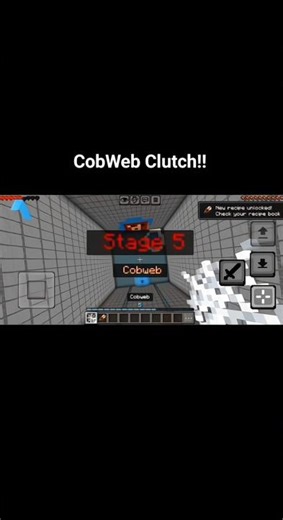 CobWeb Clutch!!