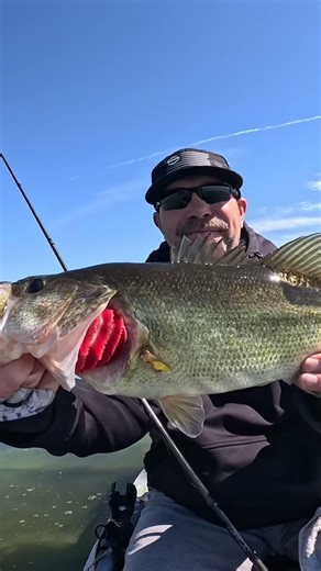 Big Bass From The Green Swamp | Kayak Fishing #shorts