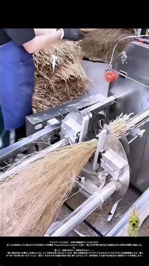 【伝統の知恵】自然が育んだ最高の掃除道具：天然植物「Pogonatherum crinitum」で作る究極のエコほうき