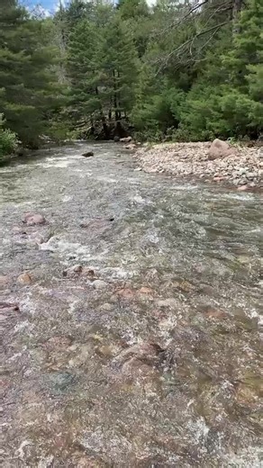 Videos de el Jasper (@eljasper01) con “original sound - Arx Covers”