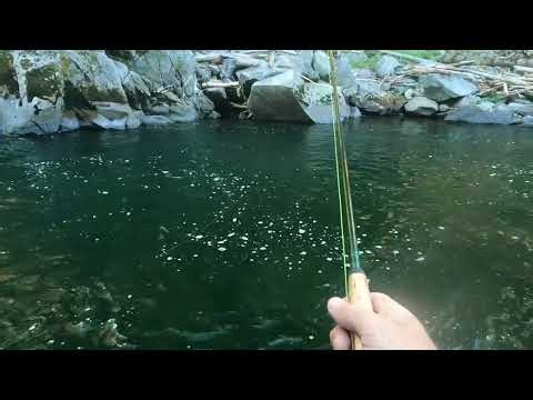 Fly Fishing the Silver Fork of the American River, July ‘26