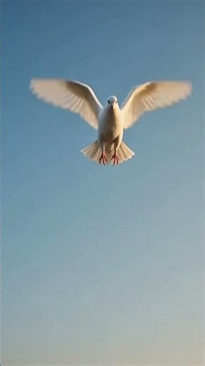 A Pigeon Saved a Wild Bear 🐻🕊️ | Emotional 3D Animation Story