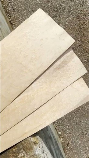 Bird's Eye Maple Veneer // #Shorts