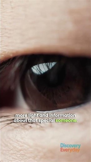 👁️ Little-Known Fact About Pupils The reaction when we see the one we love ❤️👀