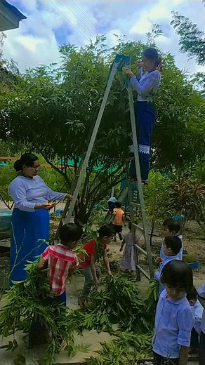 Engaging Outdoor Plant Activity for Kids and Adults