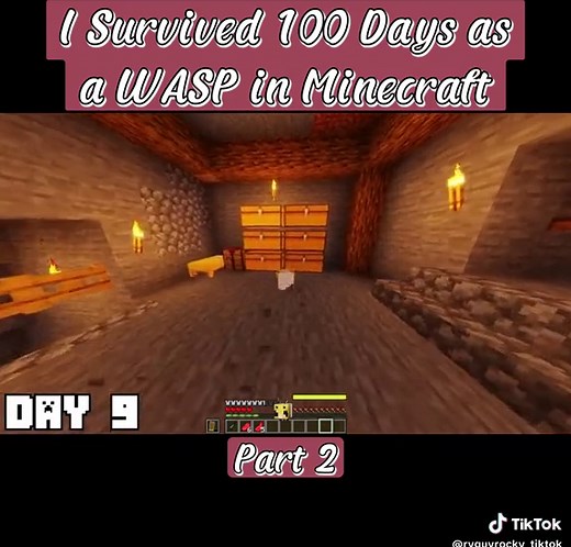 Youtube: Ryguyrocky - I Survived 100 Days as a WASP in Minecraft | Part 2