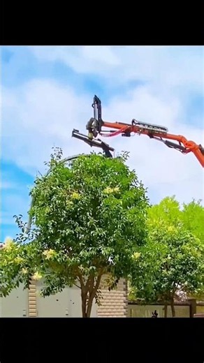 Pruning Tool for Round Treetops – Manual Pole Saw.
