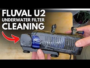 fluval u2 filter cleaning