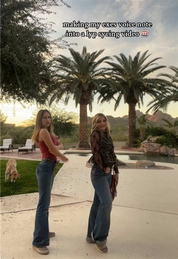 Transforming Exes' Voice Notes into Lip Syncs