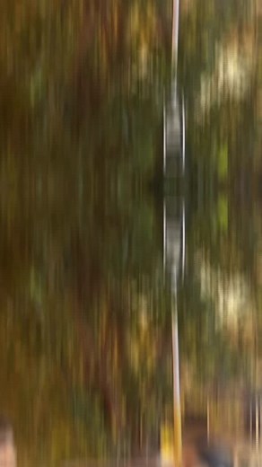 Sacha Pyar Chhod Ke chala gya ❤️‍🩹🥺 #Viral #broken #reel #insta #reels #love #epicsunny #fb #fbreel #fbviral #fbreelsfypシ゚viralvideo #fbfb #fbreelsfypシ゚ #fb #fbreels2024 #fbreels2024 #fbreelsviral #fbreelsviral #fblbrl #fbreels2025ツ | Tigers Kirar