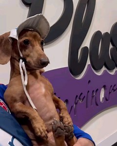 Racing Radio on Reels