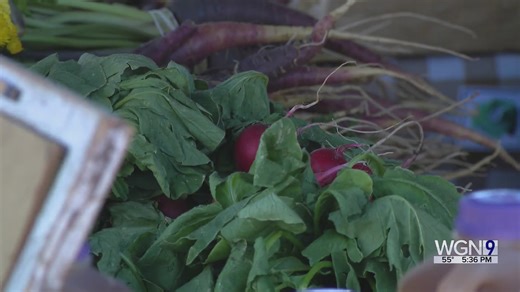 Urban Growers Collective hosts harvest fest, provides fresh food to Chicagoans