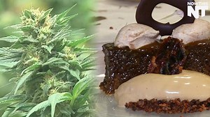 5.5M views · 50K shares | This chef is proving that weed edibles can be considered fine dining | NowThis Weed | Facebook